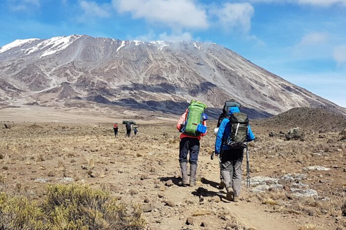 7 Days Rongai Route Kilimanjaro Climbing