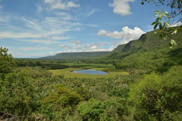 Miwaleni Waterfall and Lake Manyara Tour